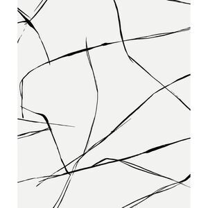 NextWall -  Ebony Inkwork Abstract Premium Peel and Stick Wallpaper